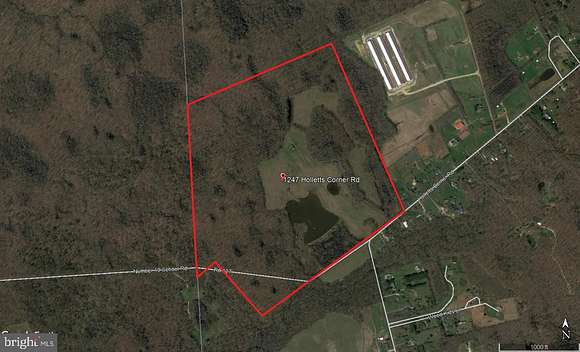 126 Acres of Agricultural Land for Sale in Clayton, Delaware