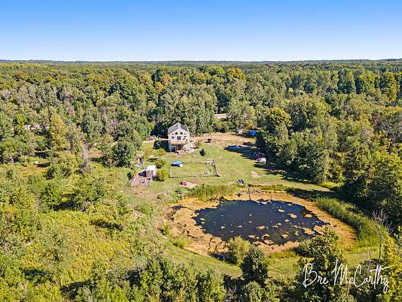 80 Acres of Land with Home for Sale in Hesperia, Michigan