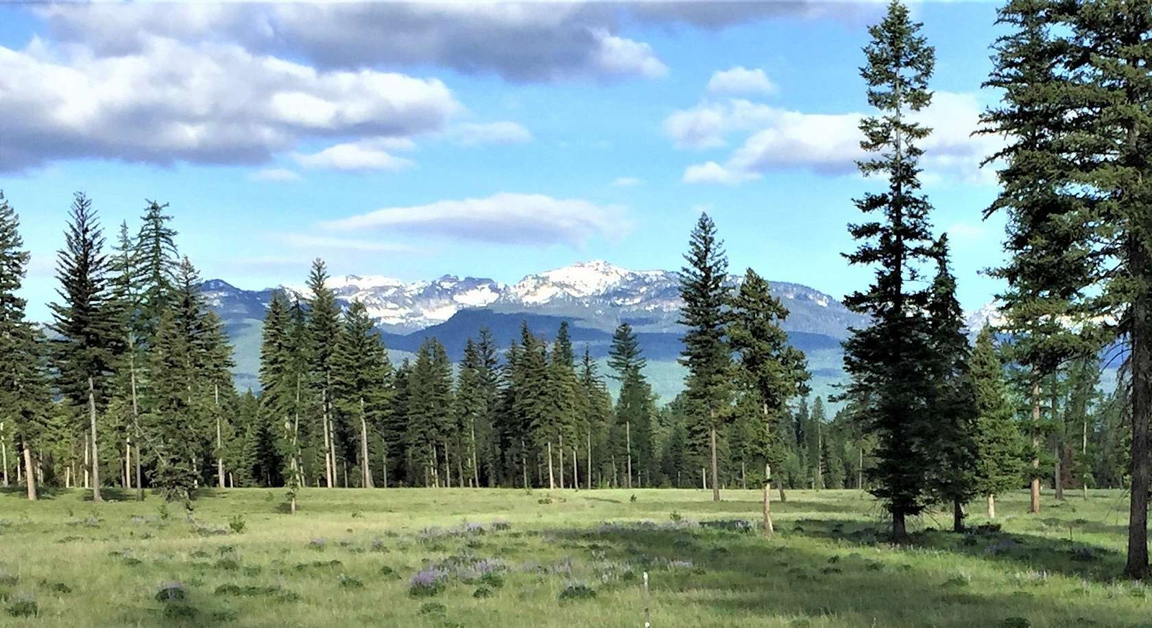 1.24 Acres of Residential Land for Sale in Condon, Montana