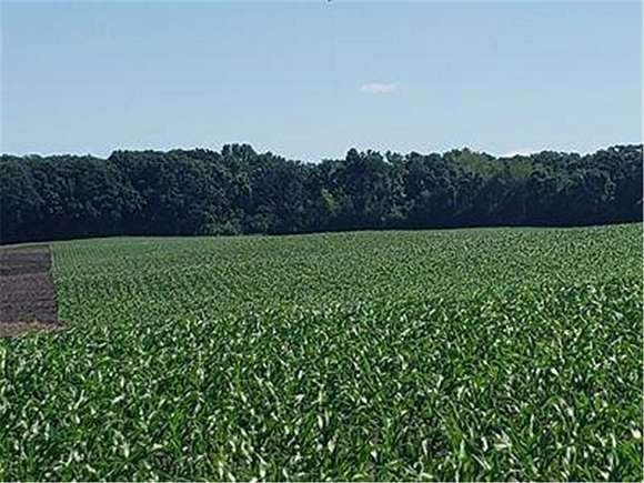 212 Acres of Agricultural Land for Sale in Norwegian Grove Township, Minnesota