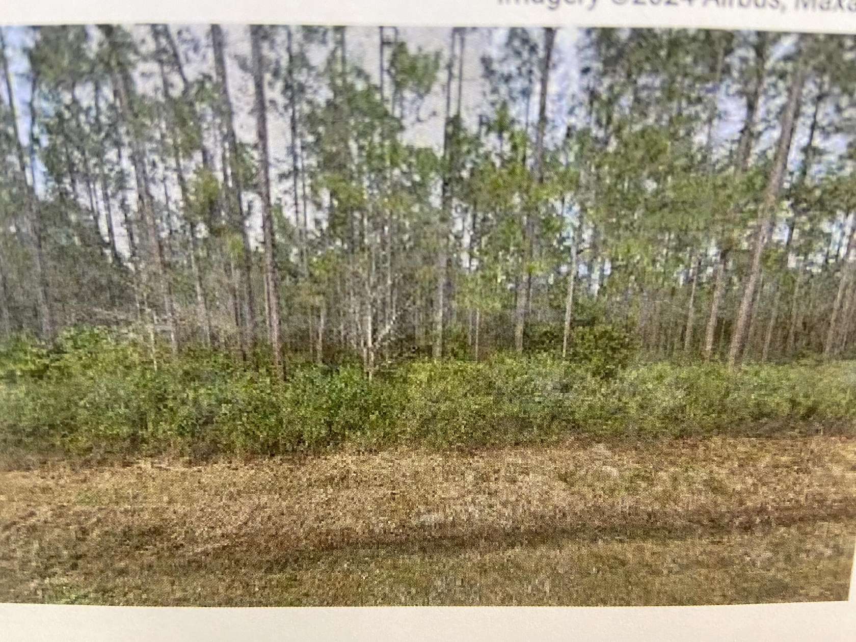 2.26 Acres of Residential Land for Sale in Hastings, Florida