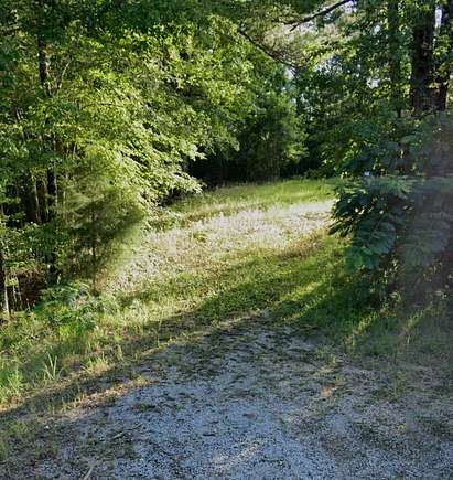 1.36 Acres of Land for Sale in Dixons Mills, Alabama