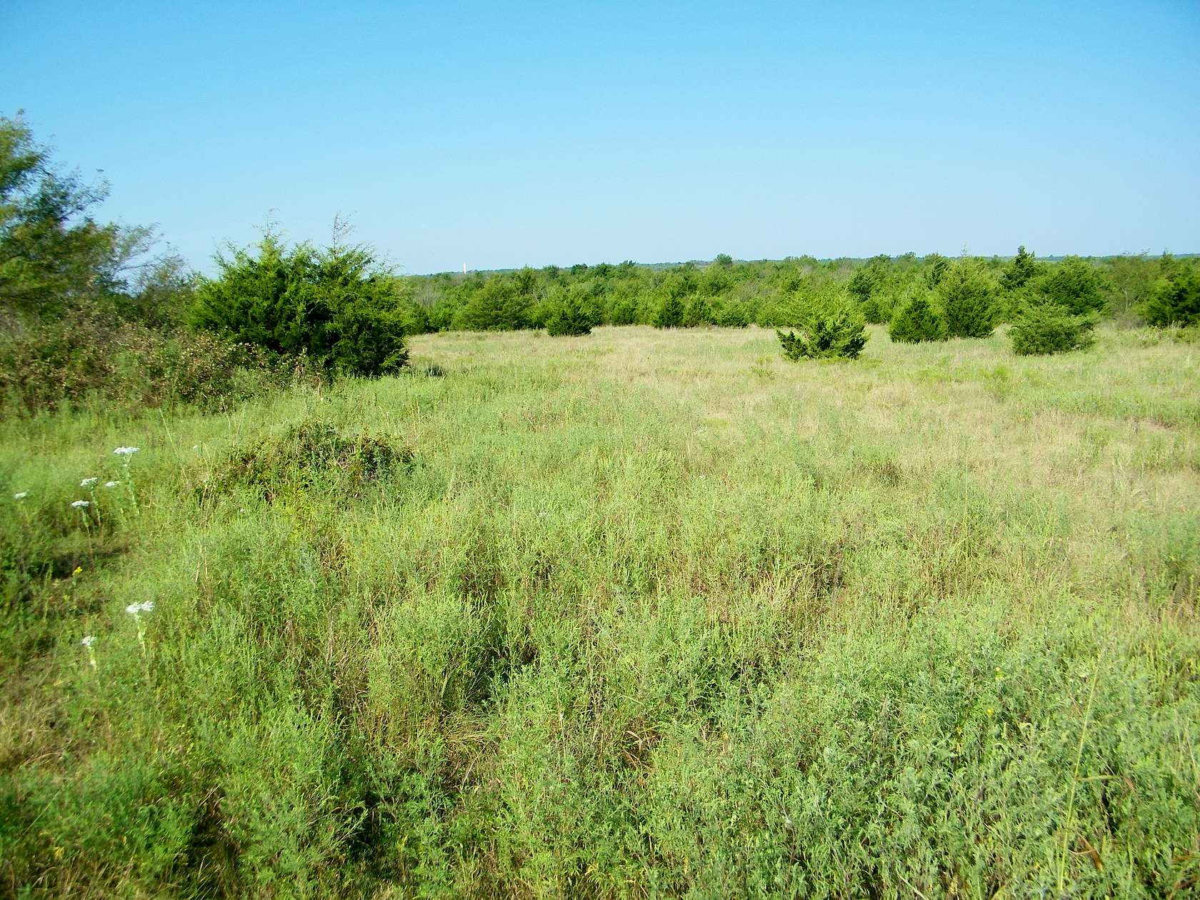 110 Acres of Recreational Land & Farm for Sale in Yale, Oklahoma