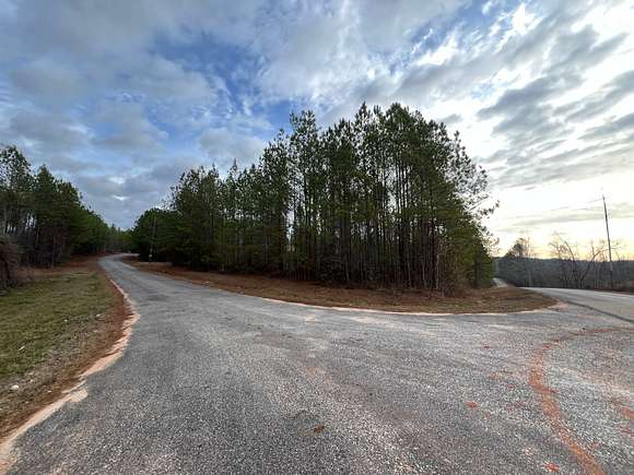 24.7 Acres of Recreational Land & Farm for Sale in Camp Hill, Alabama