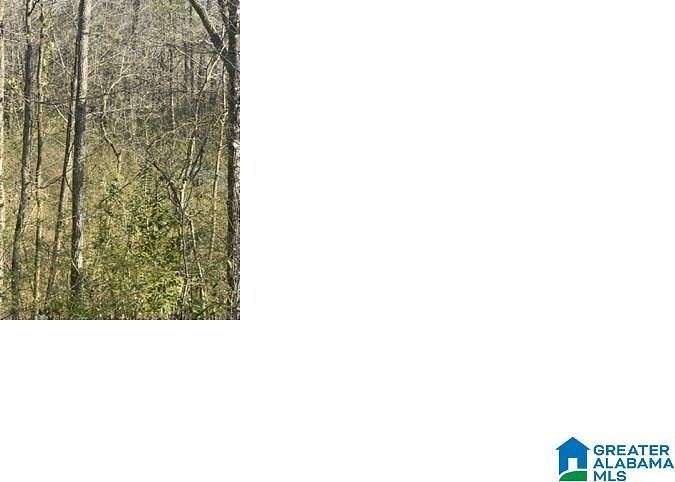 0.55 Acres of Residential Land for Sale in Pell City, Alabama