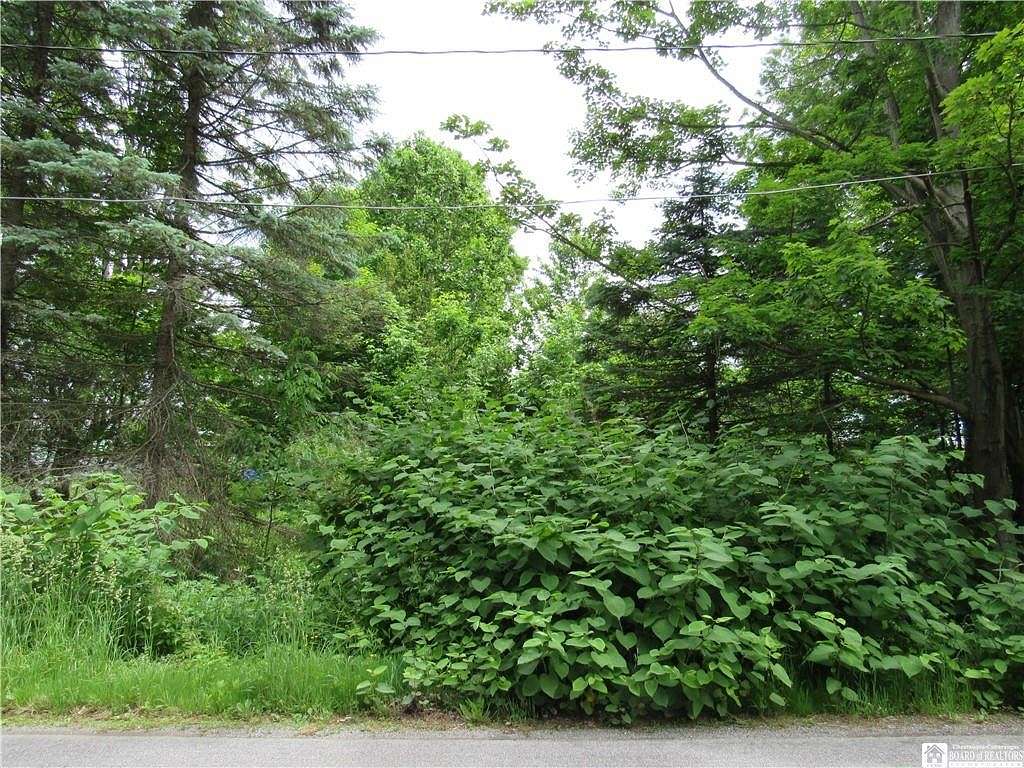 0.31 Acres of Residential Land for Sale in Jamestown, New York