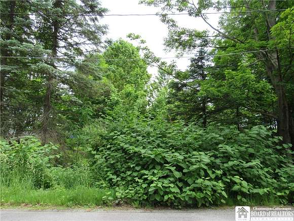 0.31 Acres of Residential Land for Sale in Ellicott Town, New York