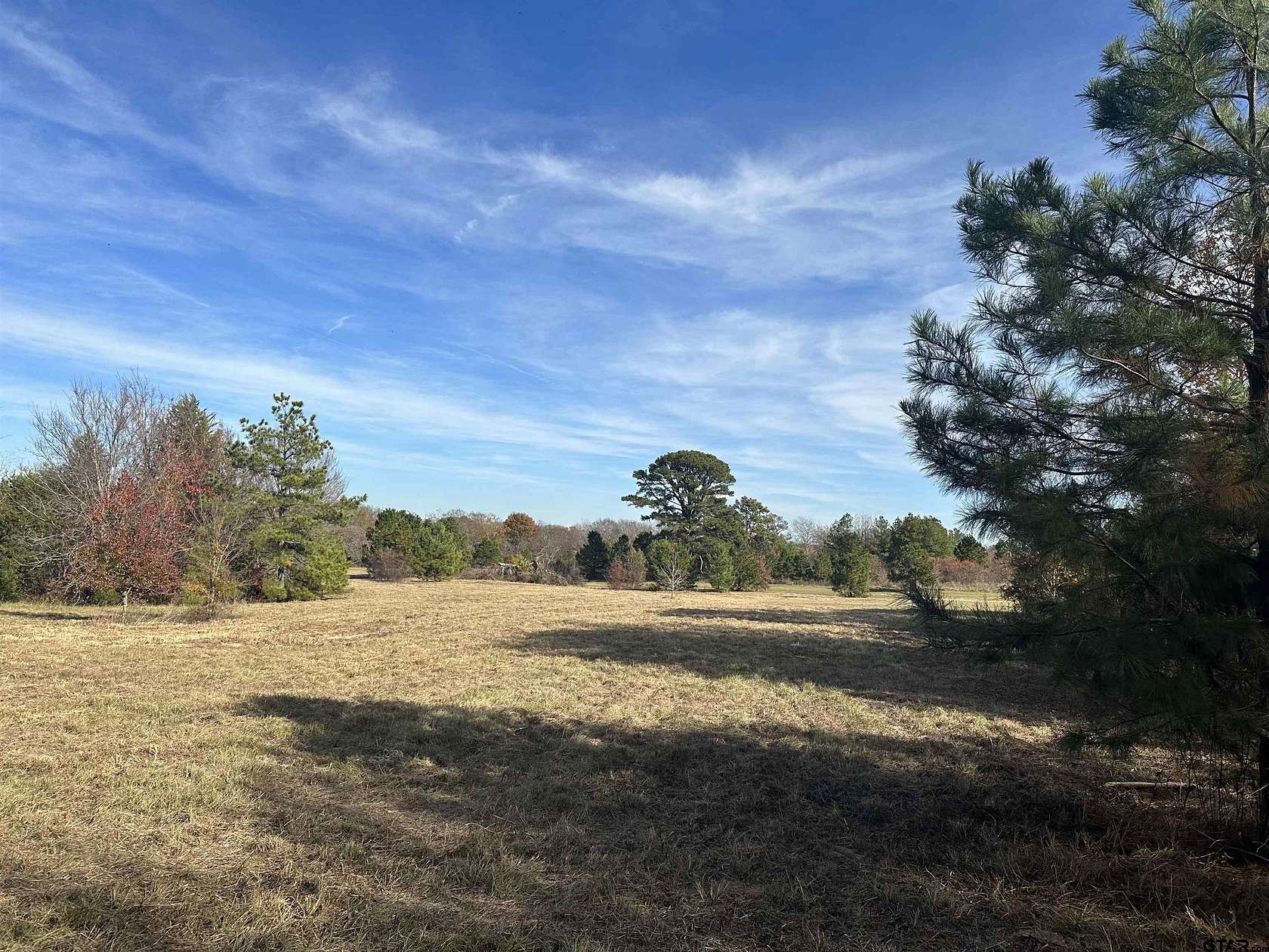 29 Acres of Land for Sale in Tyler, Texas