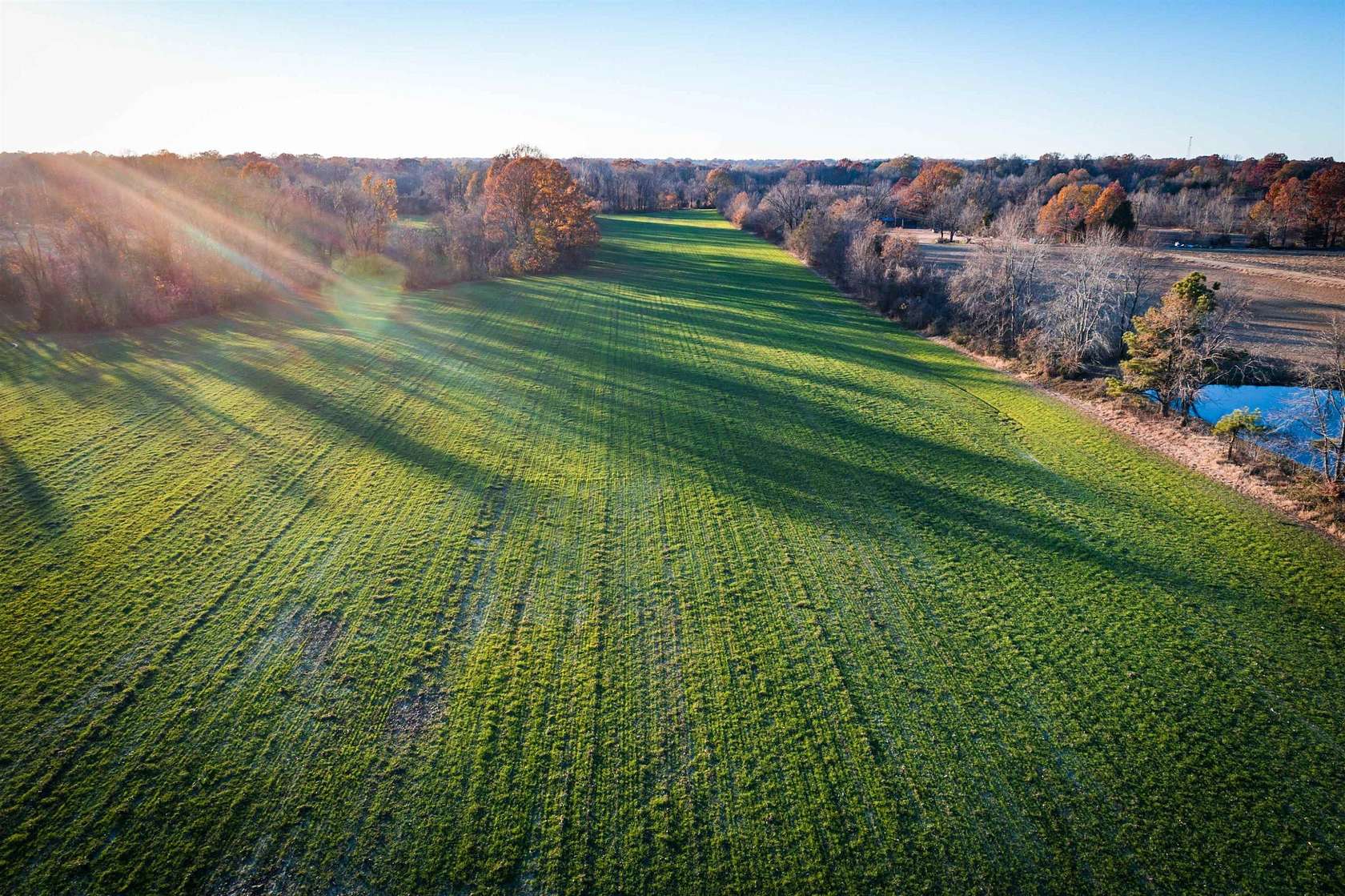 45 Acres of Agricultural Land for Sale in Brownsville, Tennessee