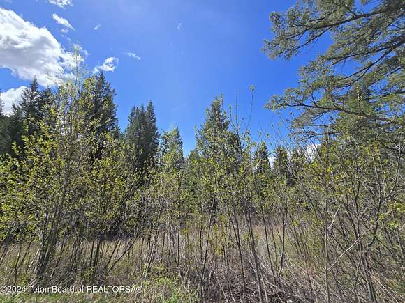 0.5 Acres of Residential Land for Sale in Star Valley Ranch, Wyoming