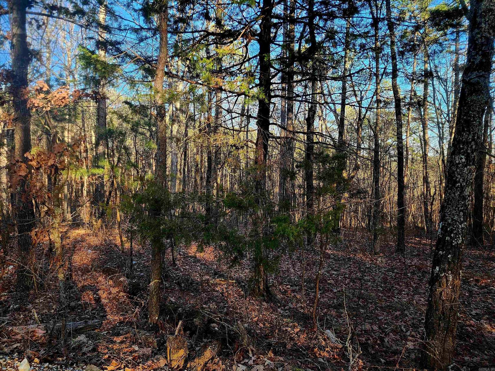 7 Acres of Residential Land for Sale in Mountain View, Arkansas