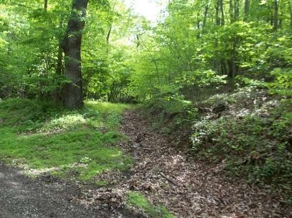 5.7 Acres of Agricultural Land for Sale in Fries, Virginia