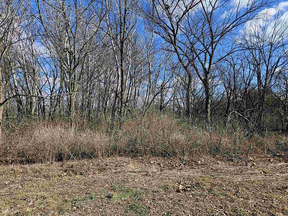 0.51 Acres of Residential Land for Sale in Apple River, Illinois