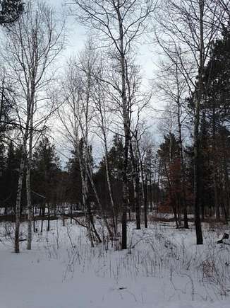 40 Acres of Recreational Land for Sale in Trego, Wisconsin