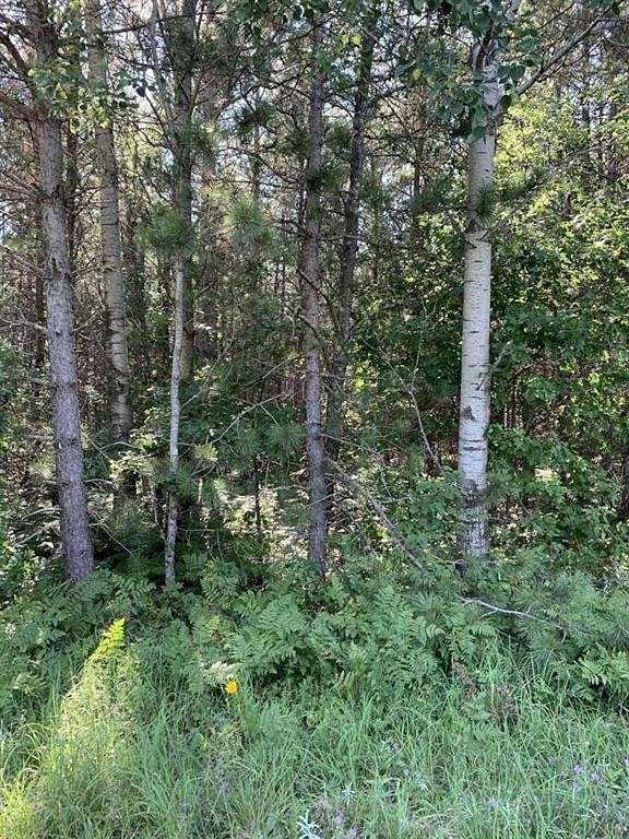 40 Acres of Land for Sale in Herbster, Wisconsin