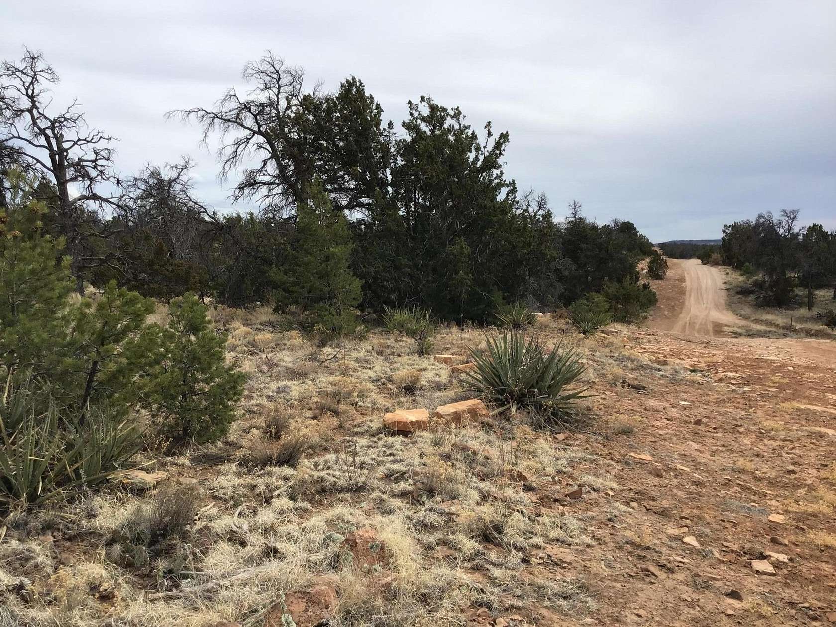 2.5 Acres of Residential Land for Sale in Ramah, New Mexico