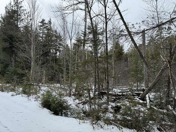 20.4 Acres of Recreational Land for Sale in Beddington, Maine