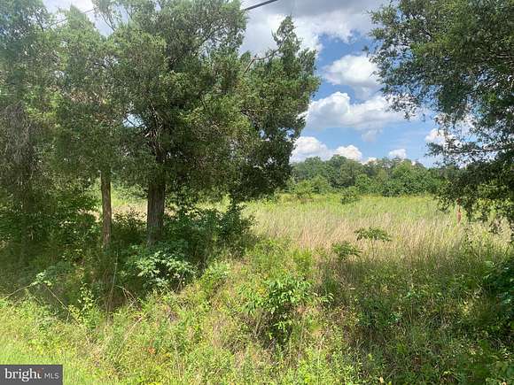 31 Acres of Land for Sale in Bealeton, Virginia
