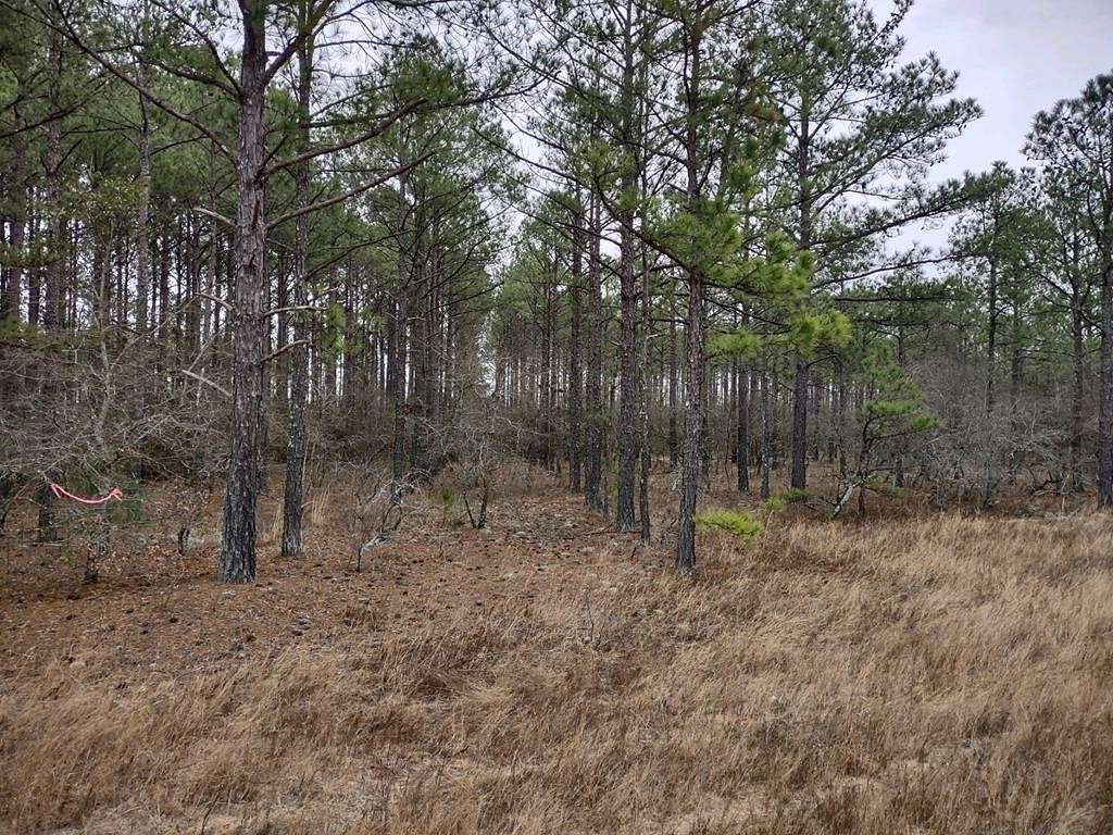5 Acres of Land for Sale in Mauk, Georgia