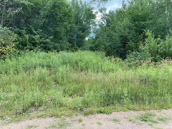159 Acres of Land for Sale in Weston, Wisconsin