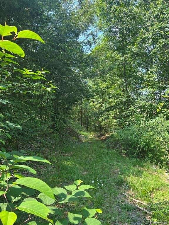 5.2 Acres of Residential Land for Sale in Mamakating Town, New York