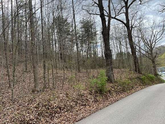 16 Acres of Recreational Land for Sale in Salyersville, Kentucky
