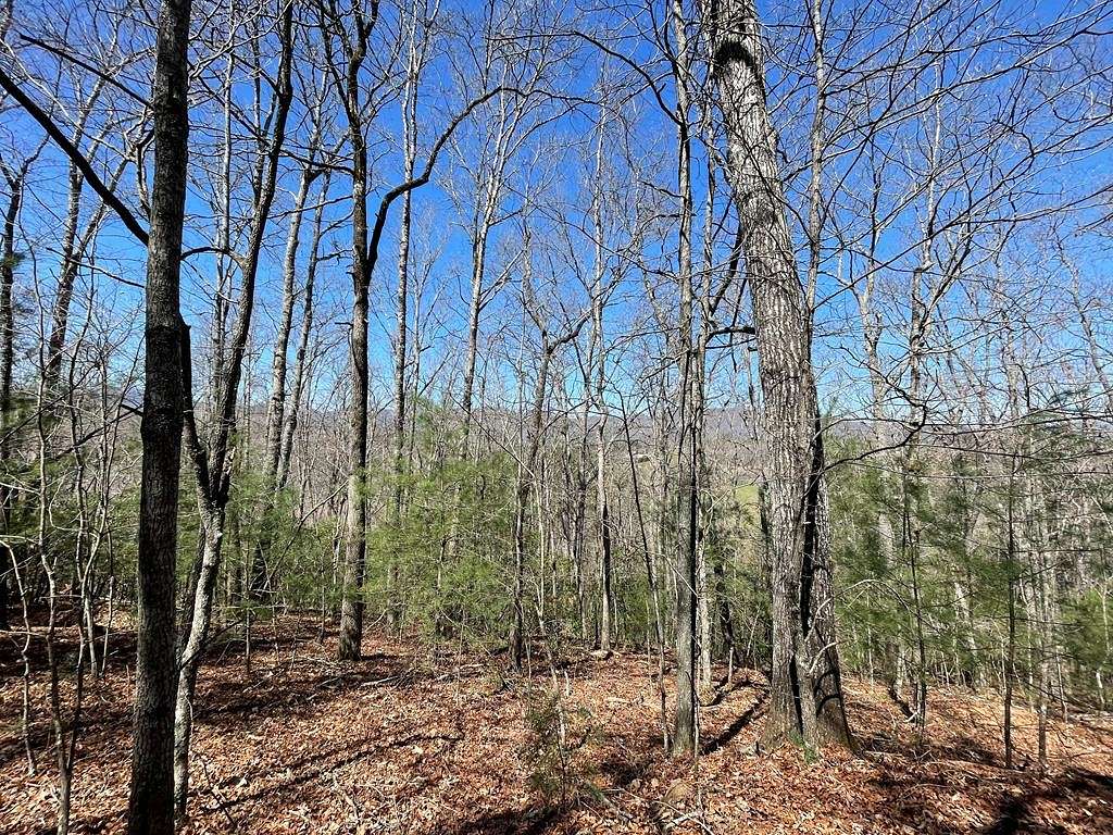 9.7 Acres of Residential Land for Sale in Franklin, North Carolina