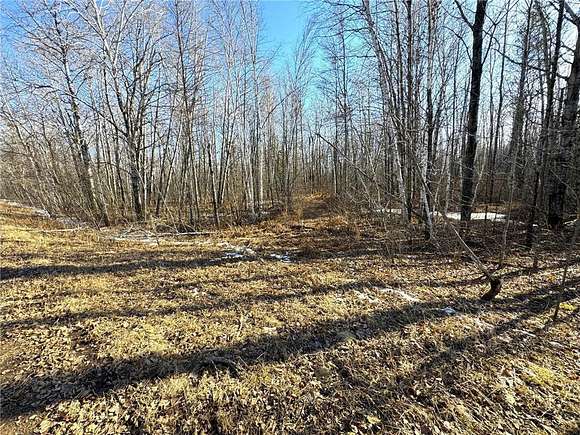 5 Acres of Land for Sale in Palisade, Minnesota