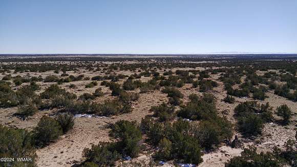 20 Acres of Land for Sale in St. Johns, Arizona