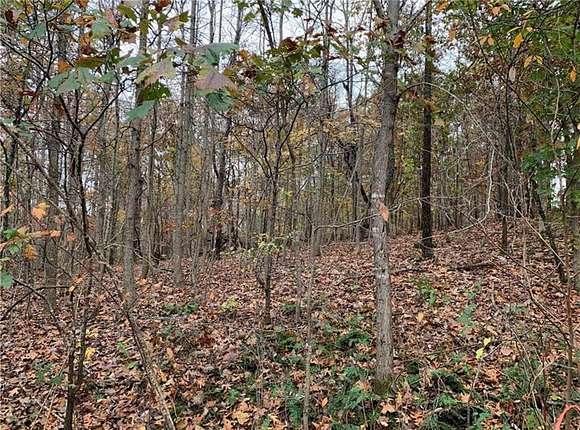 0.26 Acres of Residential Land for Sale in Bella Vista, Arkansas