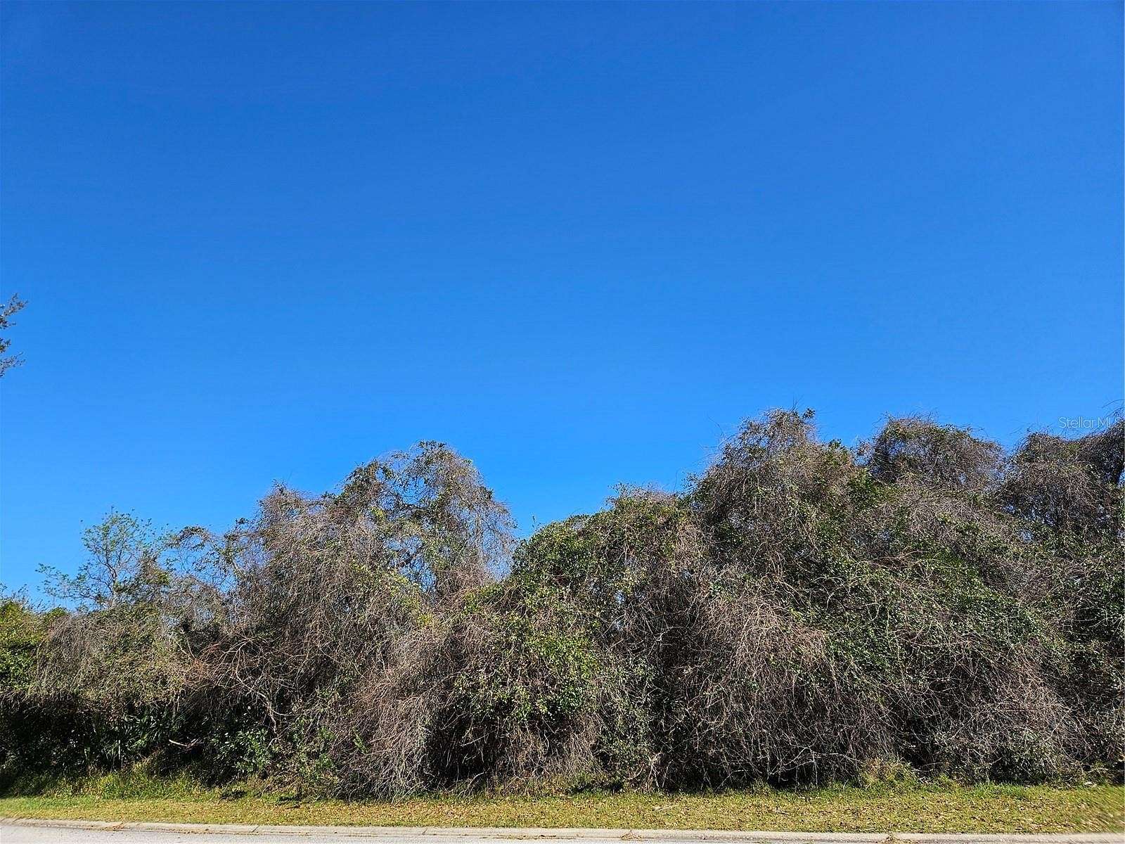 0.35 Acres of Land for Sale in Palm Coast, Florida