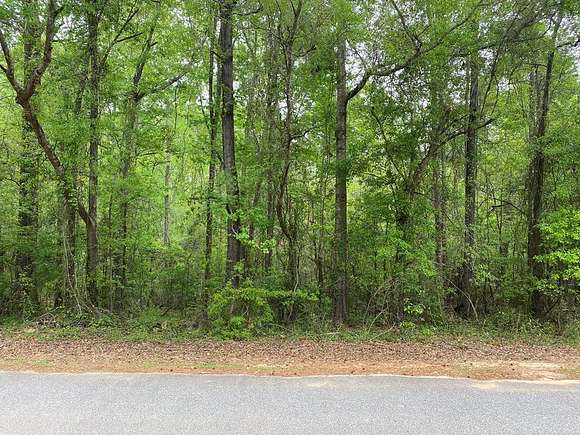 Residential Land for Sale in Cusseta, Georgia