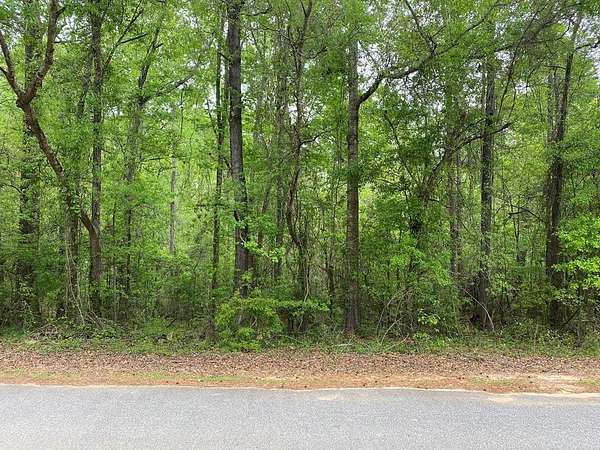 1.5 Acres of Land for Sale in Cusseta, Georgia