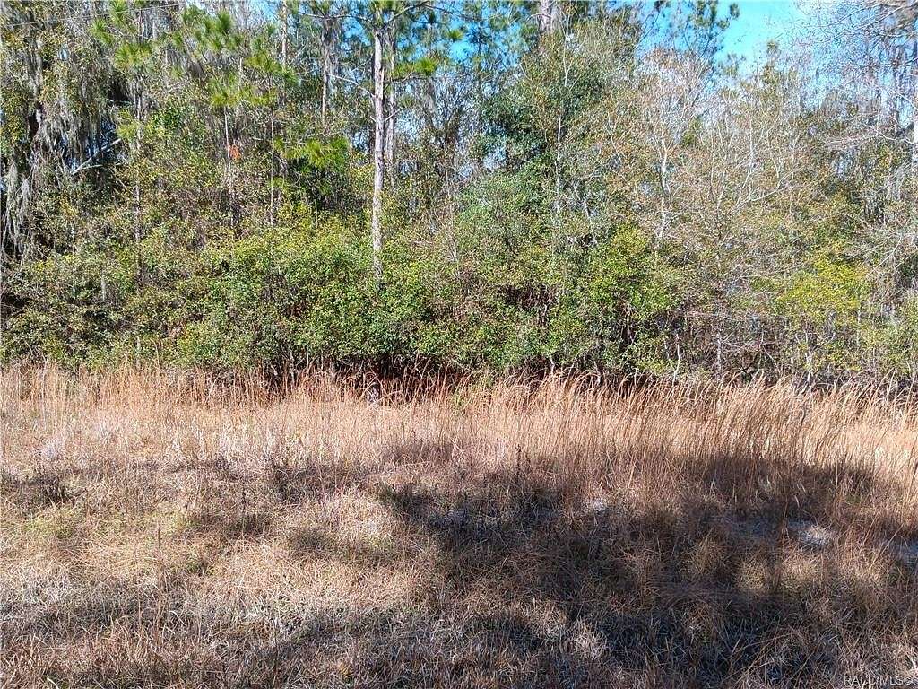 0.6 Acres of Residential Land for Sale in Waldo, Florida