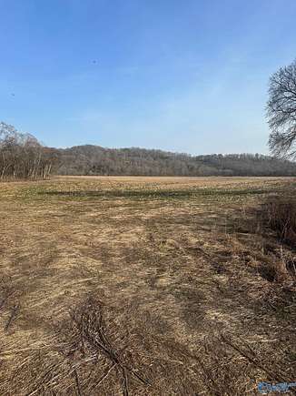 69 Acres of Land for Sale in Dellrose, Tennessee