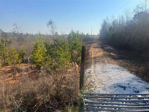 13.3 Acres of Land for Sale in Eclectic, Alabama