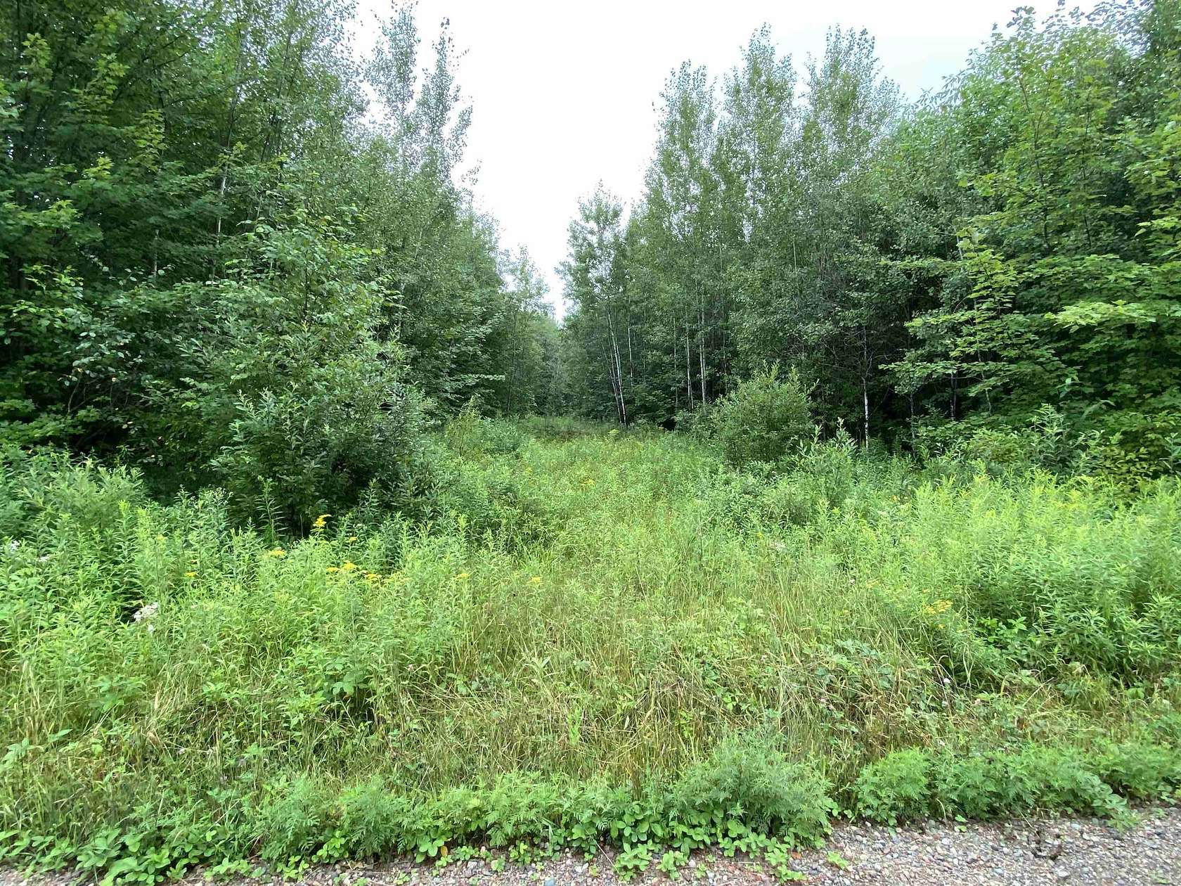 40 Acres of Land for Sale in Merrill, Wisconsin