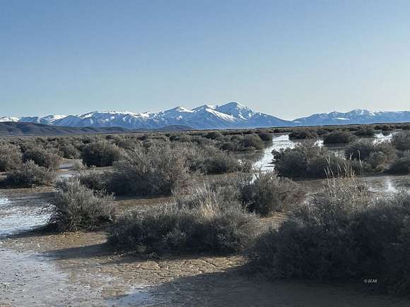40 Acres of Land for Sale in Crescent Valley, Nevada