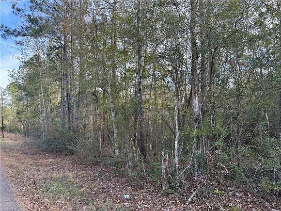 Residential Land for Sale in Pearl River, Louisiana
