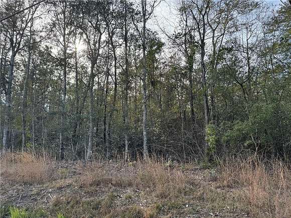 1 Acre of Residential Land for Sale in Pearl River, Louisiana