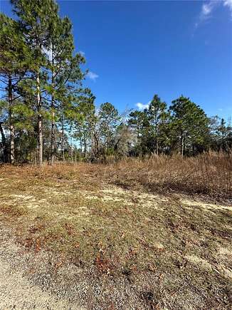 Residential Land for Sale in Citrus Springs, Florida