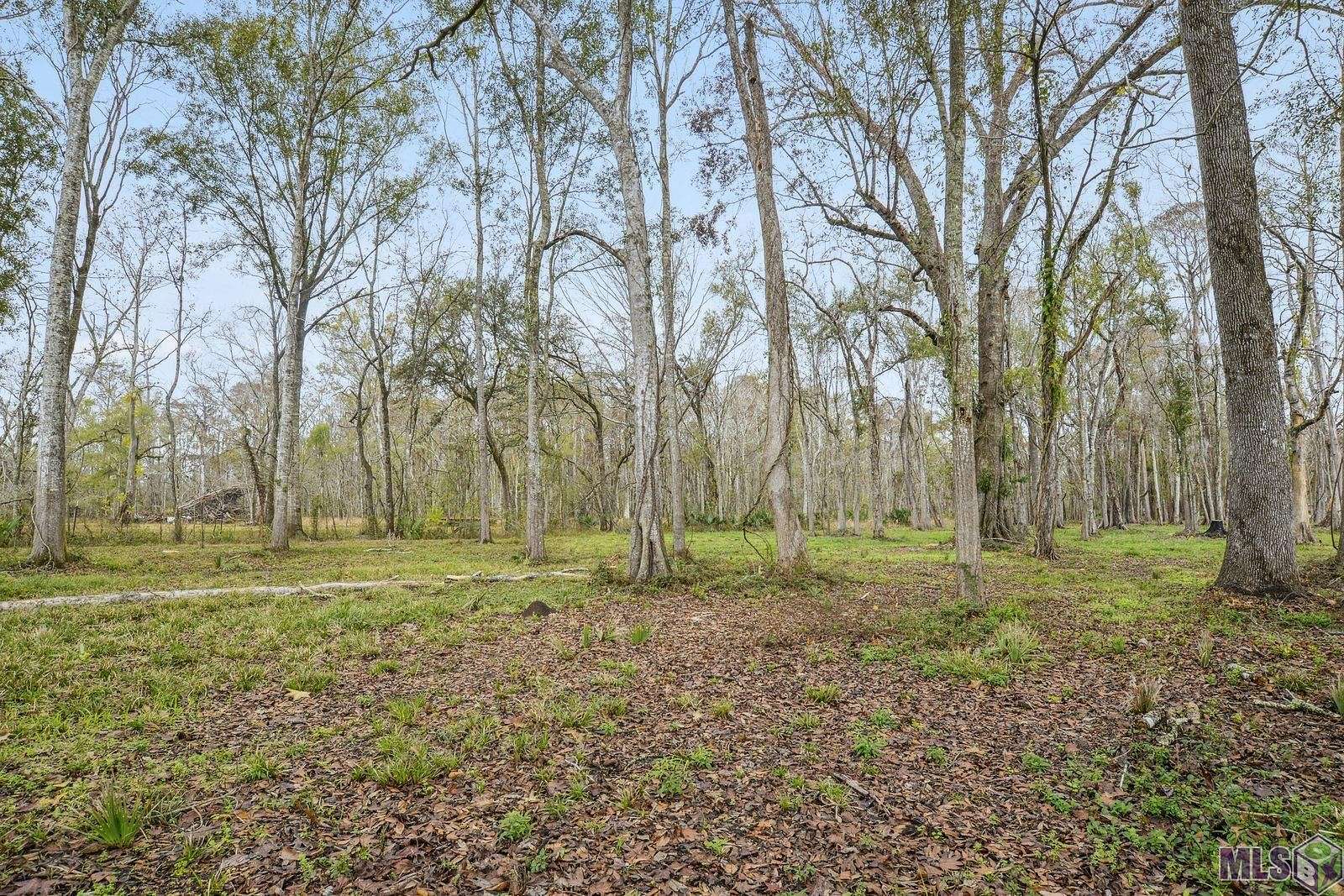 Residential Land for Sale in Saint Amant, Louisiana