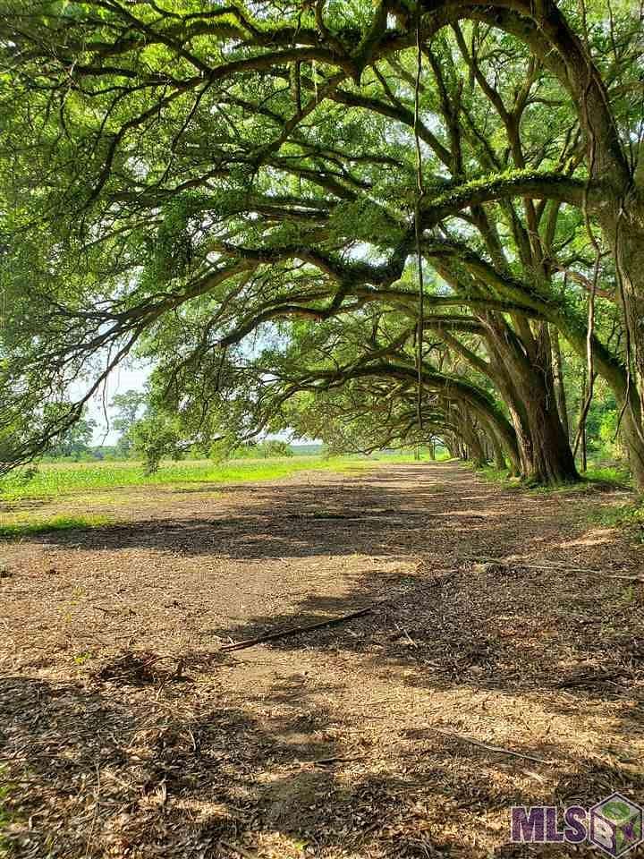 Residential Land for Sale in Ponchatoula, Louisiana