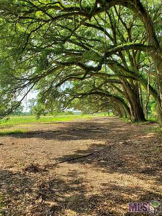 62.2 Acres of Recreational Land for Sale in Ponchatoula, Louisiana