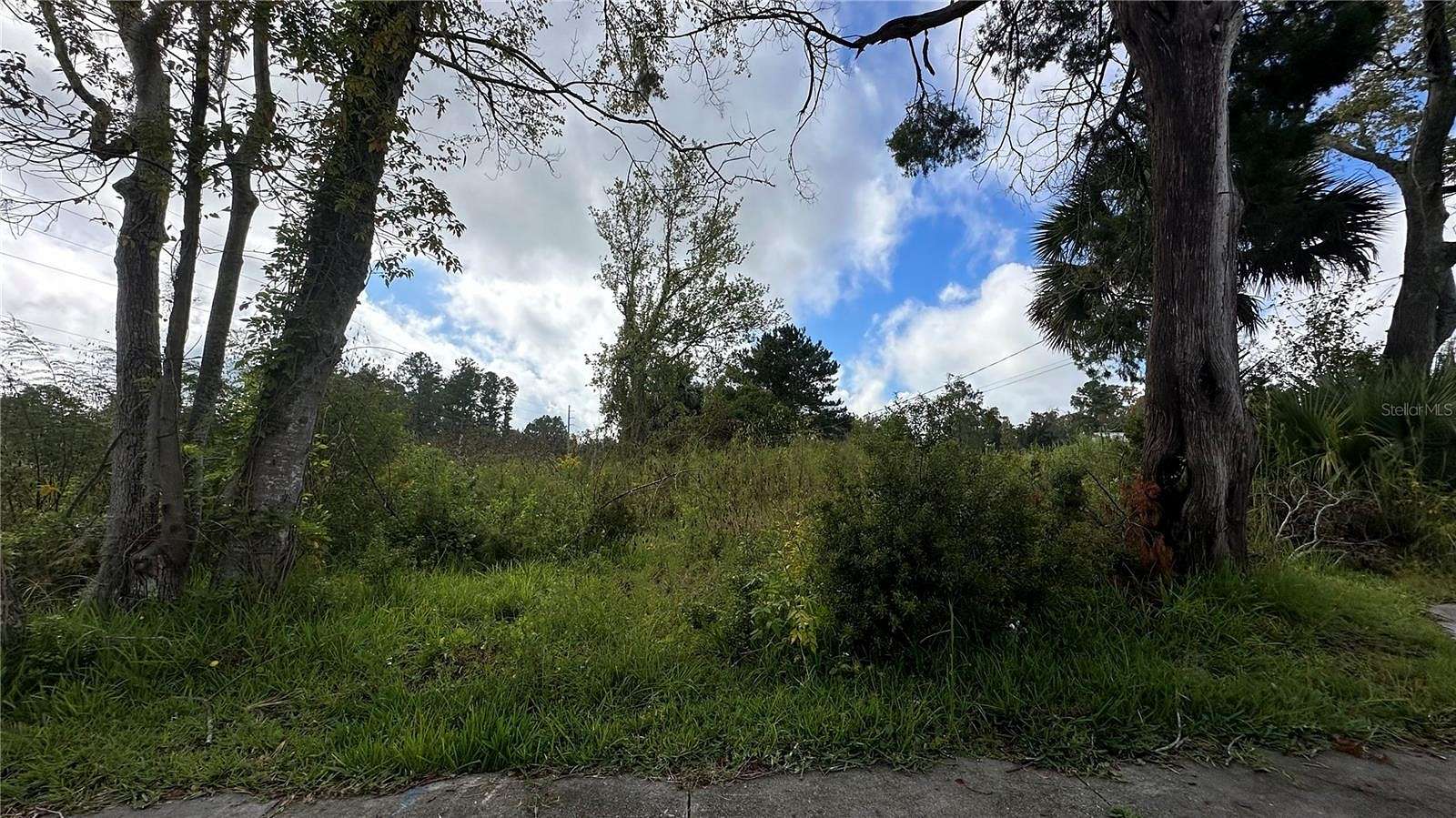 Land for Sale in Lake City, Florida