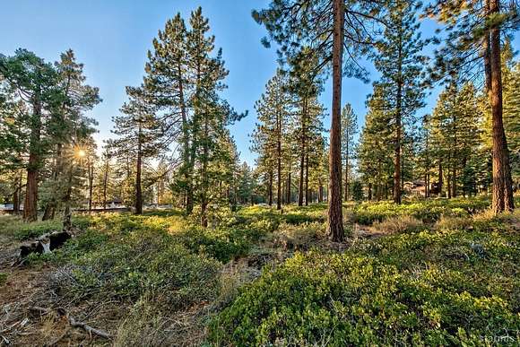 Residential Land for Sale in Glenbrook, Nevada