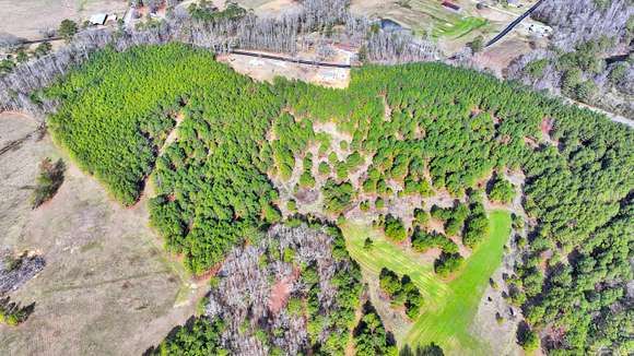 14 Acres of Land for Sale in Nauvoo, Alabama