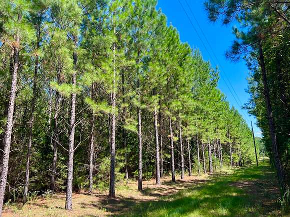 37.9 Acres of Recreational Land for Sale in Due West, South Carolina