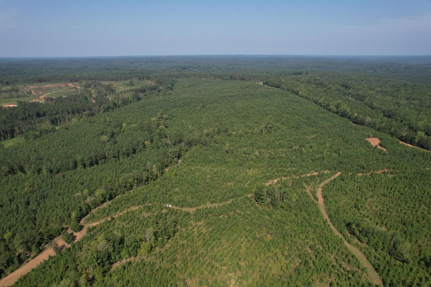 157 Acres of Recreational Land for Sale in Jonesville, South Carolina
