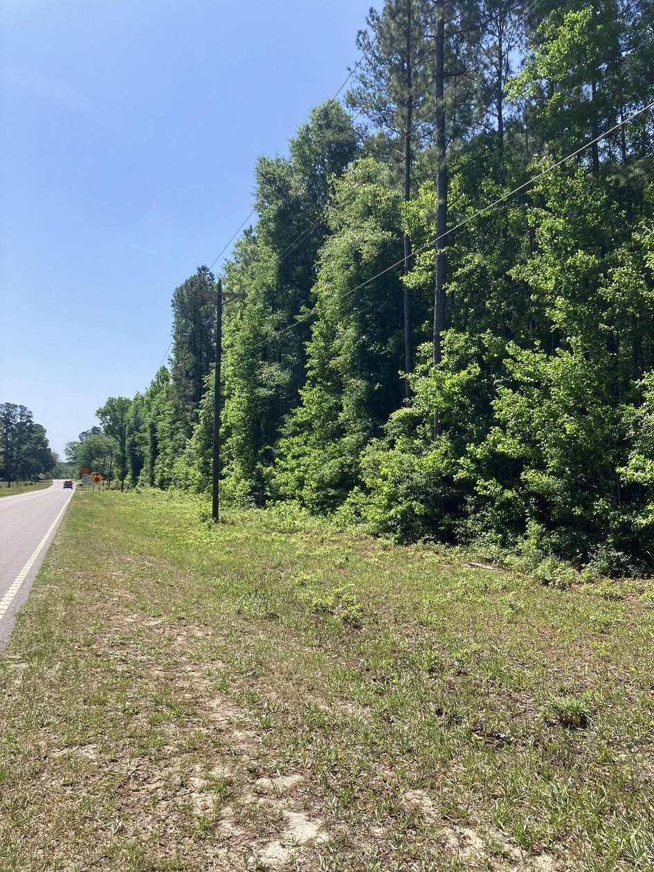 25.81 Acres of Mixed-Use Land for Sale in Bamberg, South Carolina